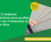 Las 3 mejores prácticas para acabar con los mosquitos al aire libre.