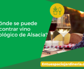 ¿Dónde se puede encontrar vino ecológico de Alsacia?